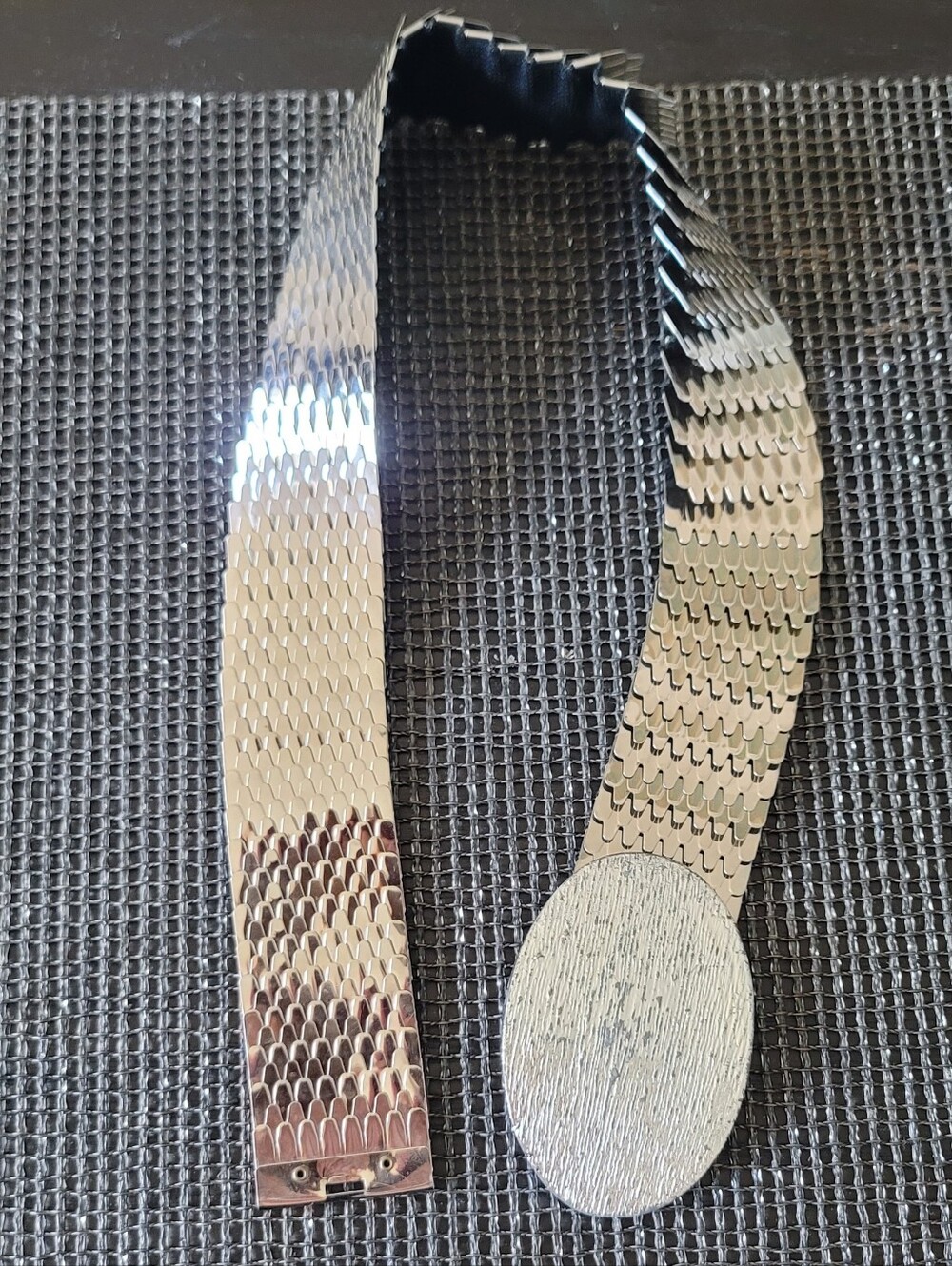 Silver Metallic Fish-scale Stretch Belt